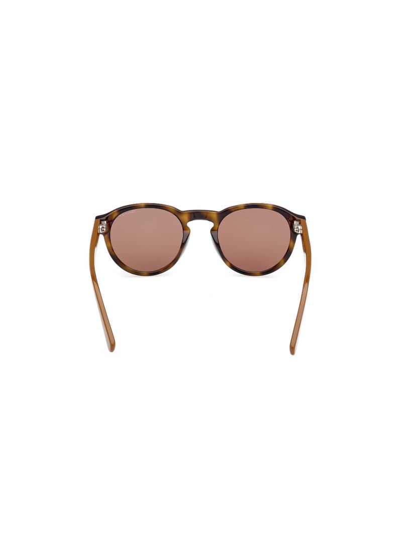 GANT FULL RIM MALE ROUND BROWN ACETATE SUNGLASSES - Image 4